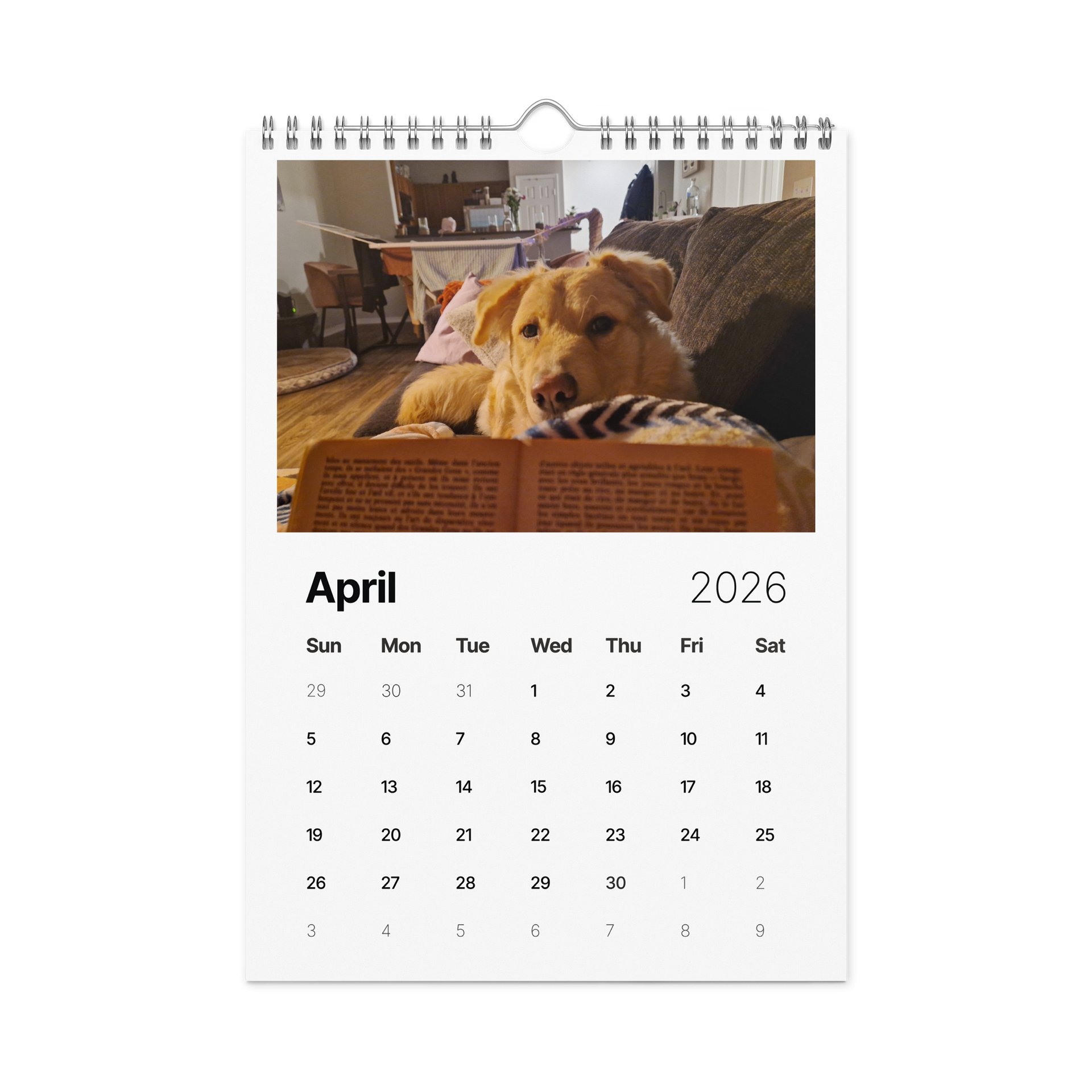 Milo's Life 2026 Wall Calendar product image (6)