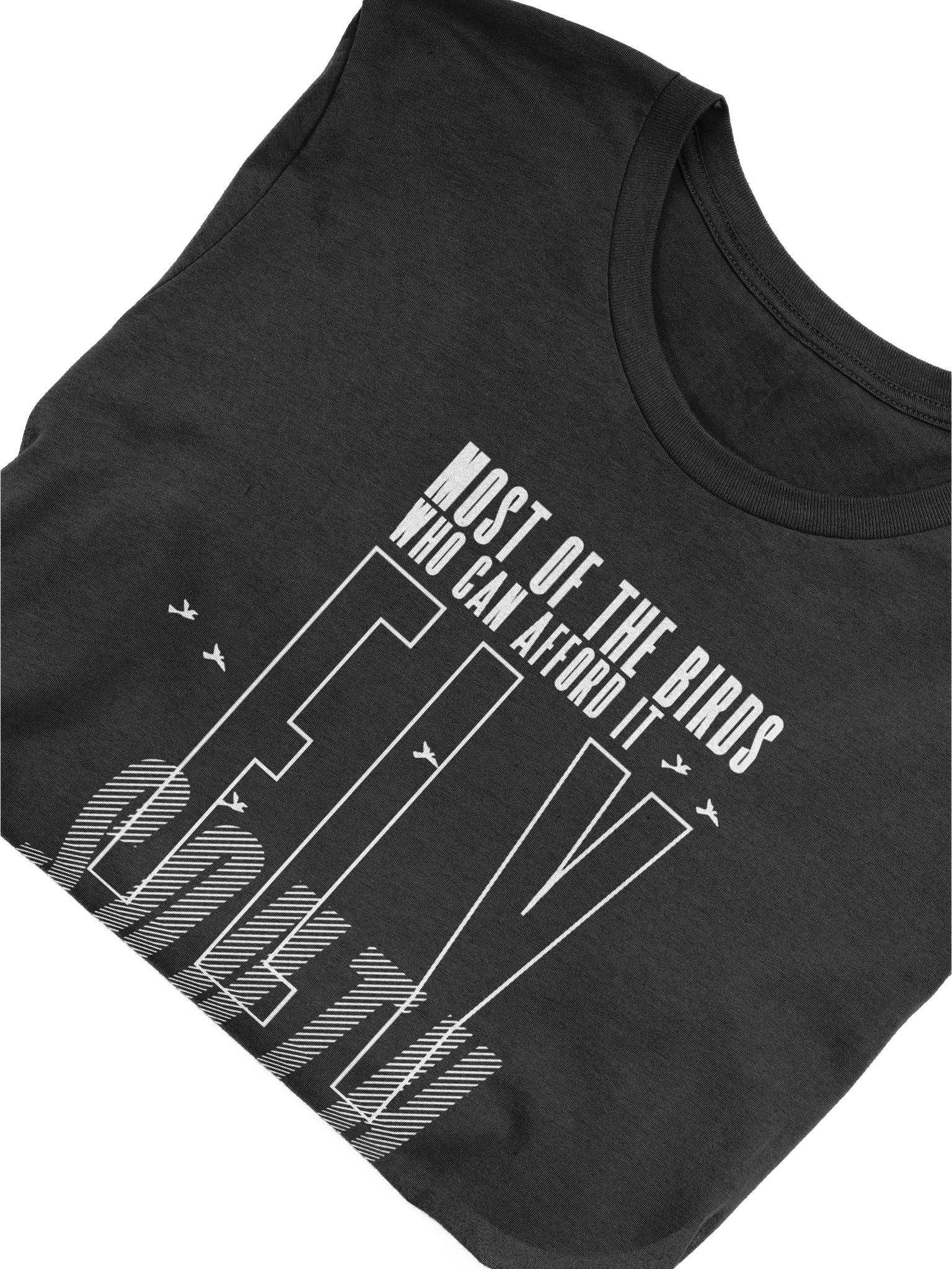 Birds Who Can Afford It Fly South Premium Super Soft Tee product image (5)