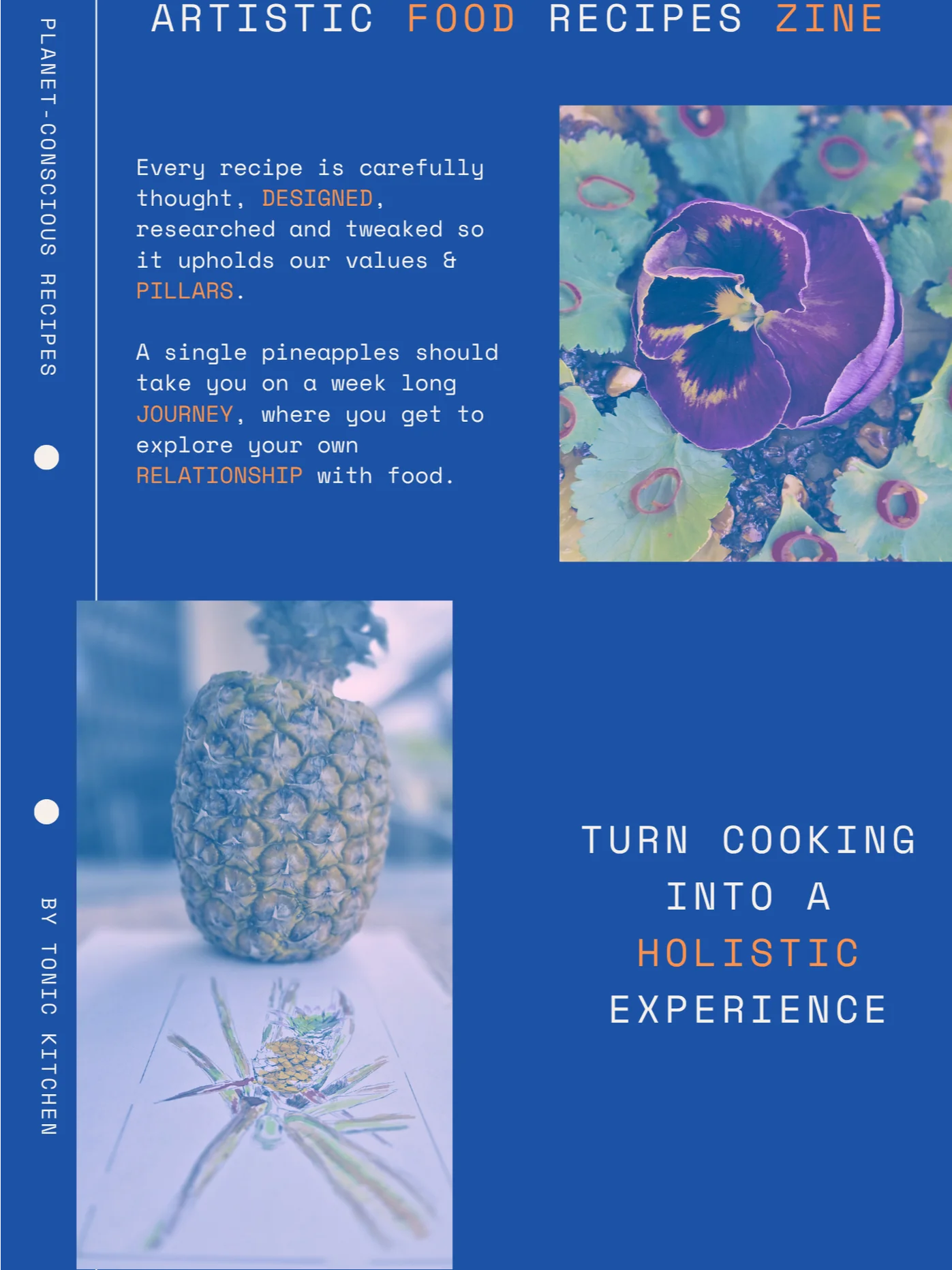 Tonic Kitchen Digital Zine: Issue 02, The Pineapple (digital download) product image (6)