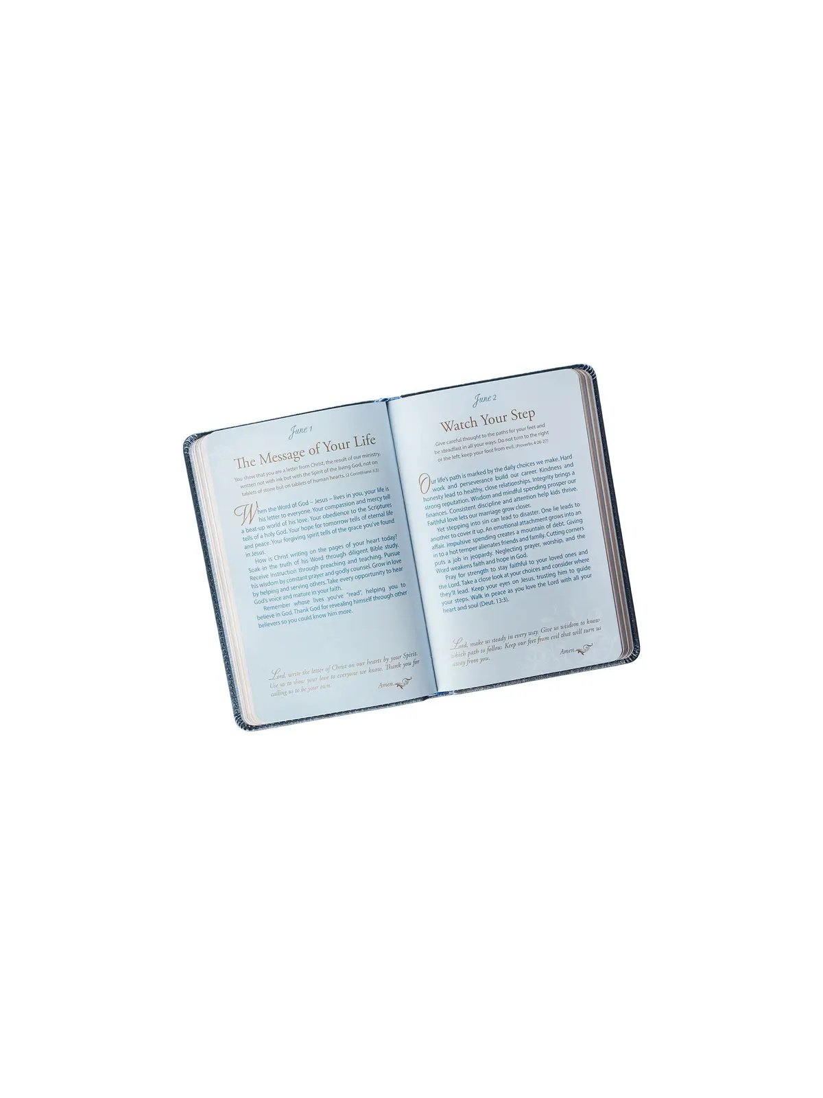 Mr. & Mrs. | 366 Daily Devotions for Couples – Premium Blue Faux Leather product image (3)
