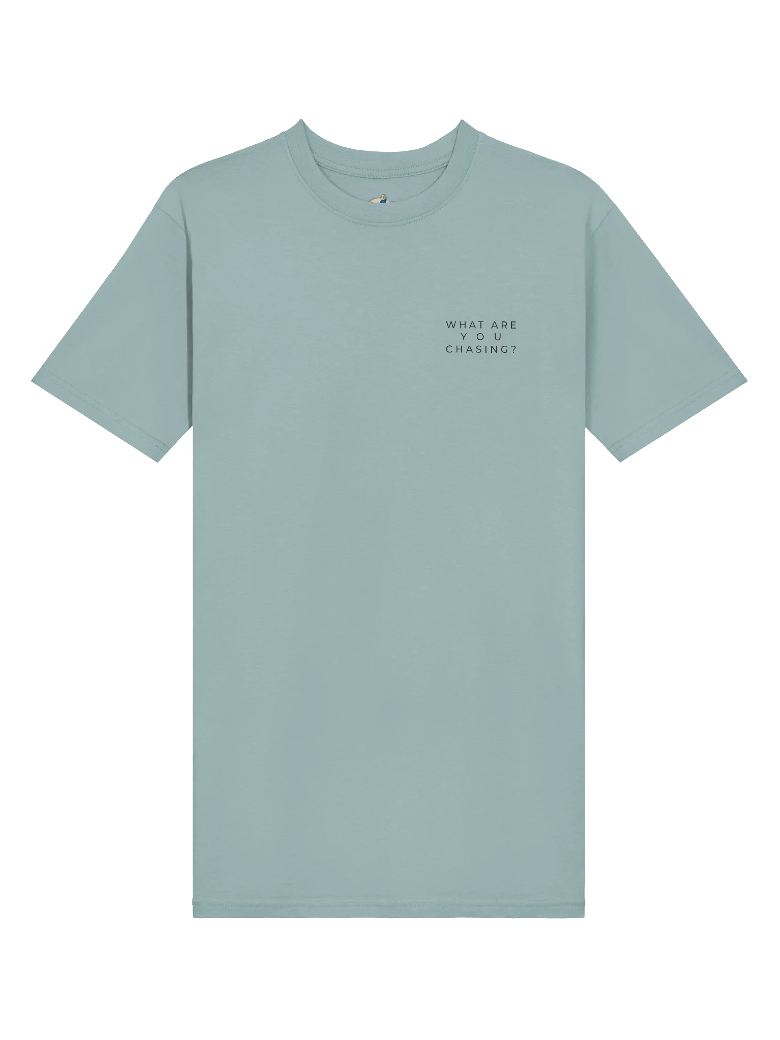 Men's What Are You Chasing? Heavyweight Statement Tee product image (3)