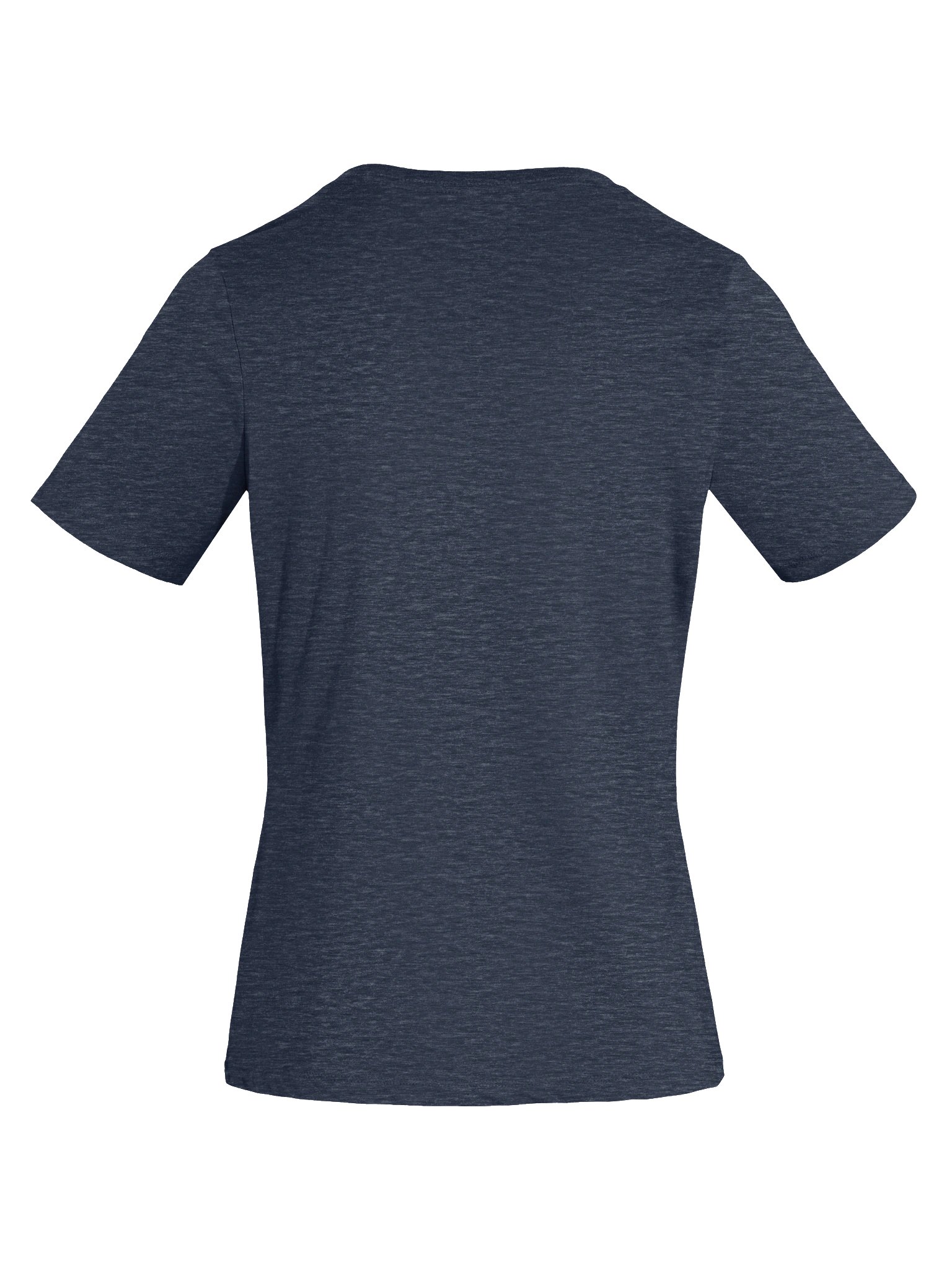 The Basic Wiseman (Ladies) product image (2)