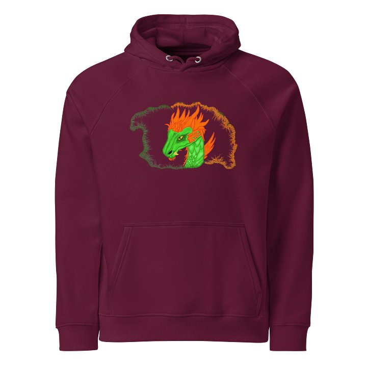 Dragon's Fury Eco Raglan Hoodie product image (1)