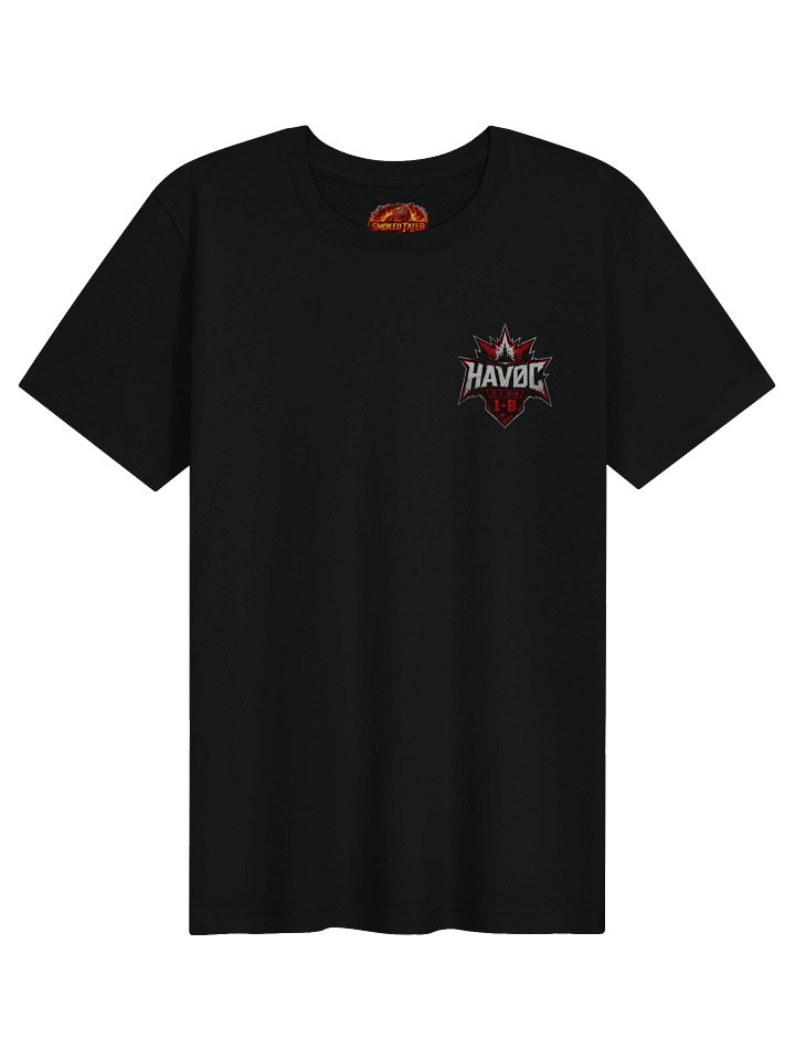 HaVOC Class 1-B "My Hero Acadamia" inspired Tee product image (3)