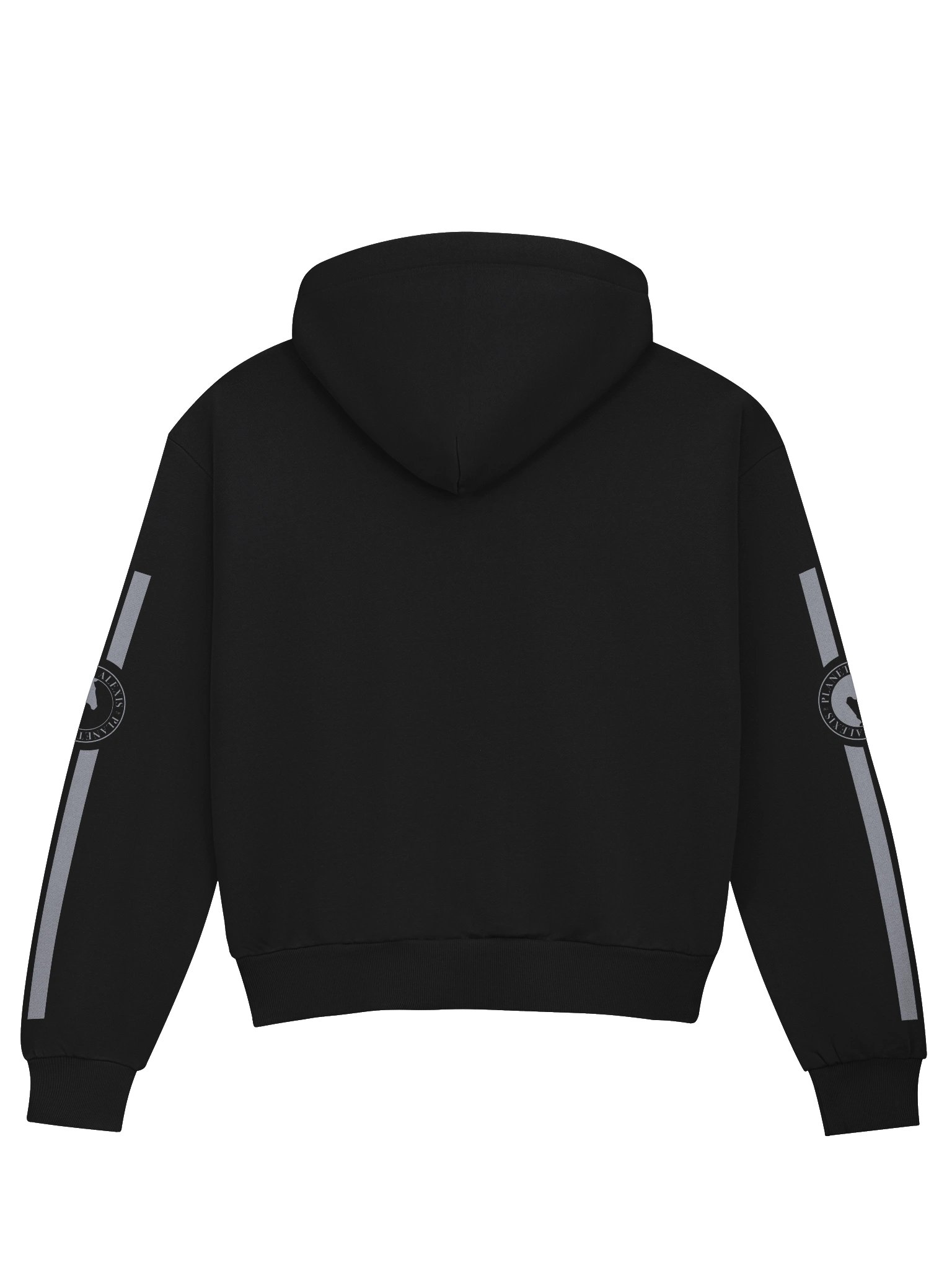 PLANET ALEXIS Arched Logo Hoodie product image (2)
