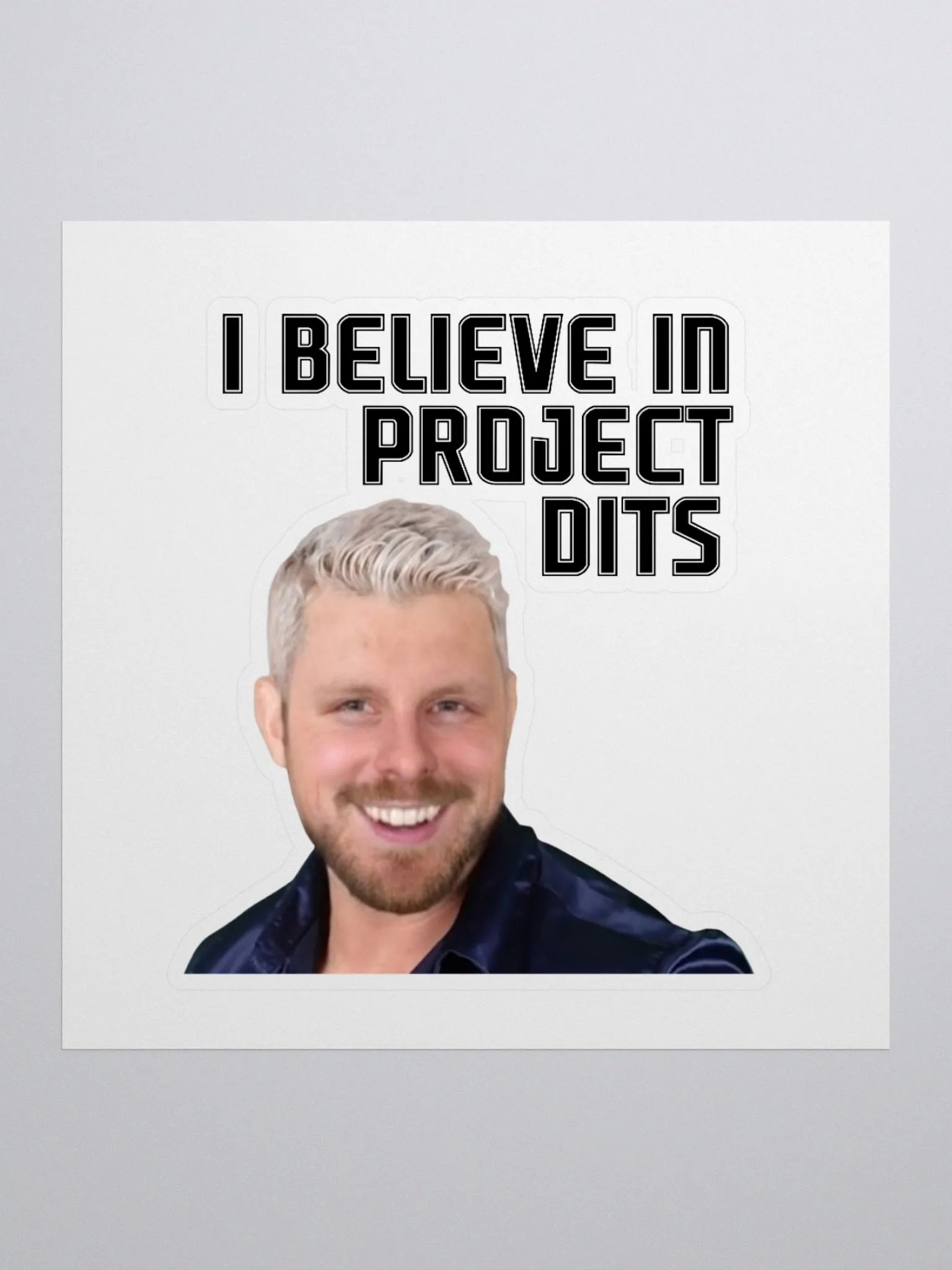I Believe in Project Dits Sticker product image (3)