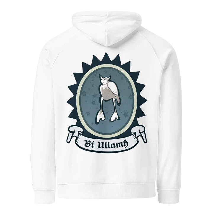 Ulchabhán Bí Ullamh SOL'S Eco Raglan Cochaill (Back Patch) product image (2)
