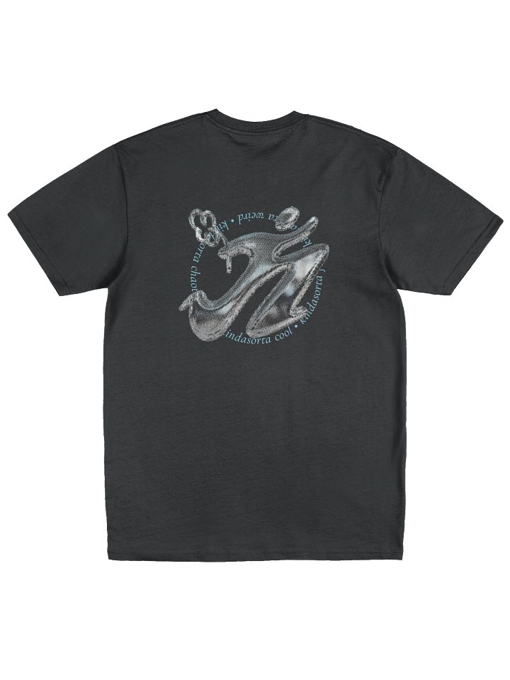 kindasorta heavyweight tee product image (2)