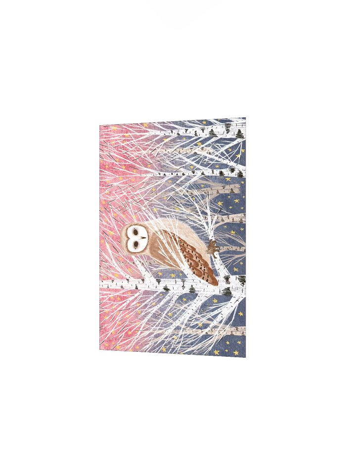 the magical owl 2 product image (6)