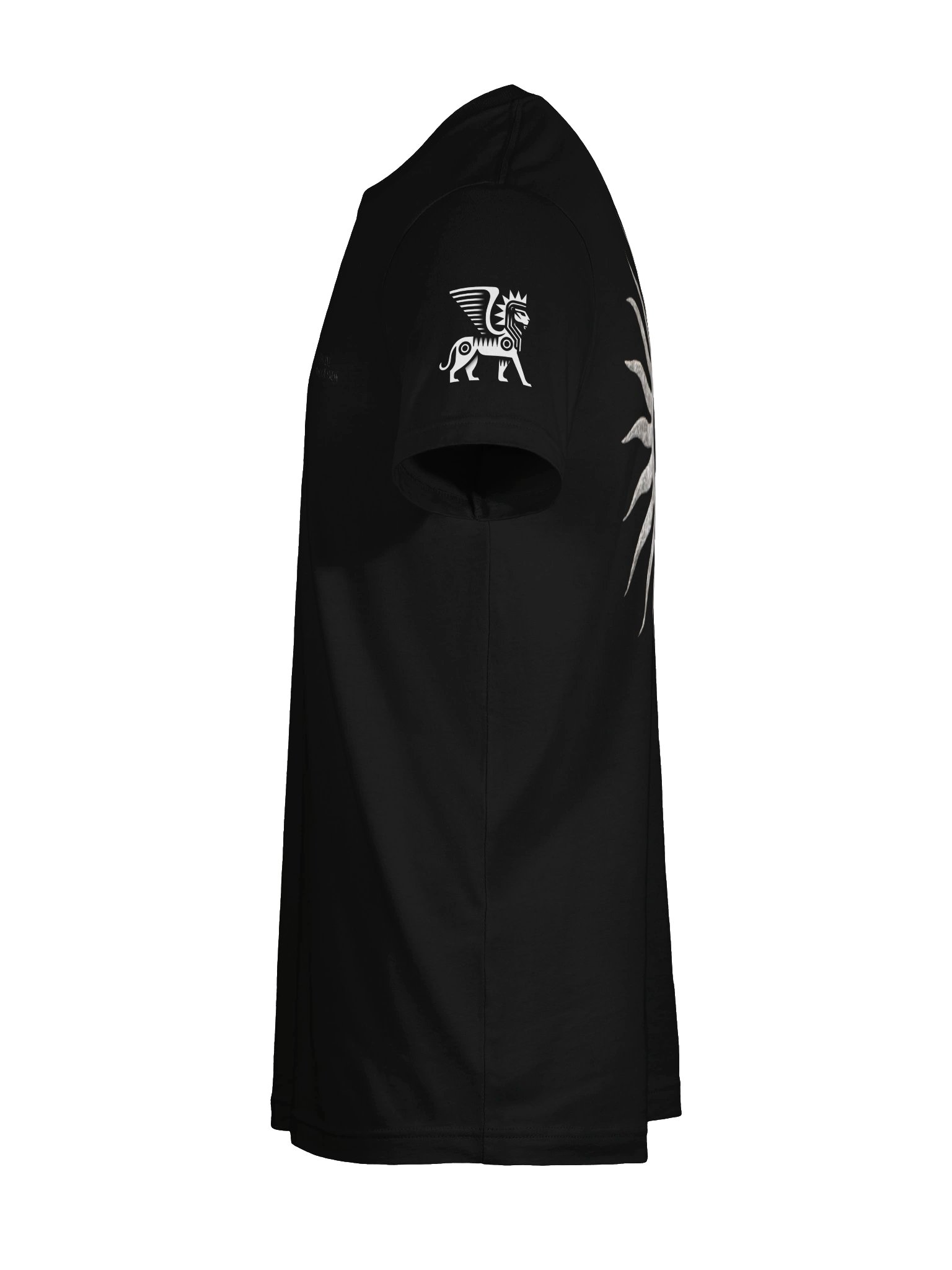 DIVINUS PNEUMA product image (9)