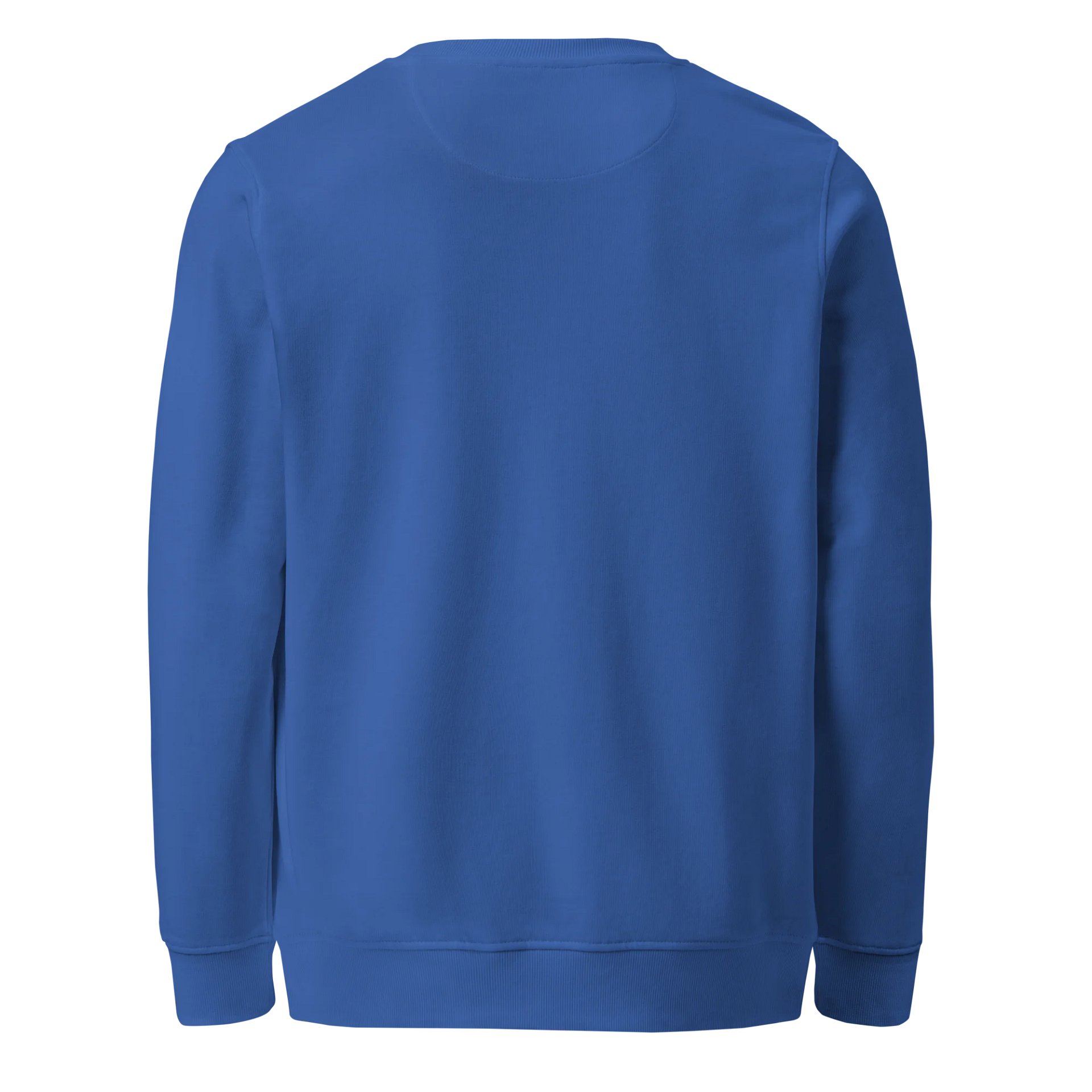 Women's Organic Sweatshirt OSFB0119 product image (2)