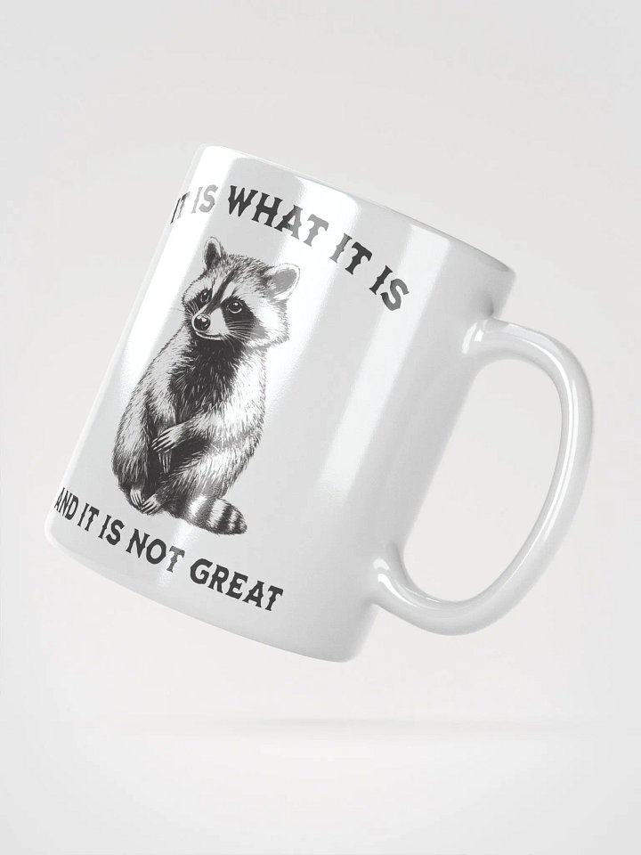 Raccoon It Is What It Is Mug product image (2)