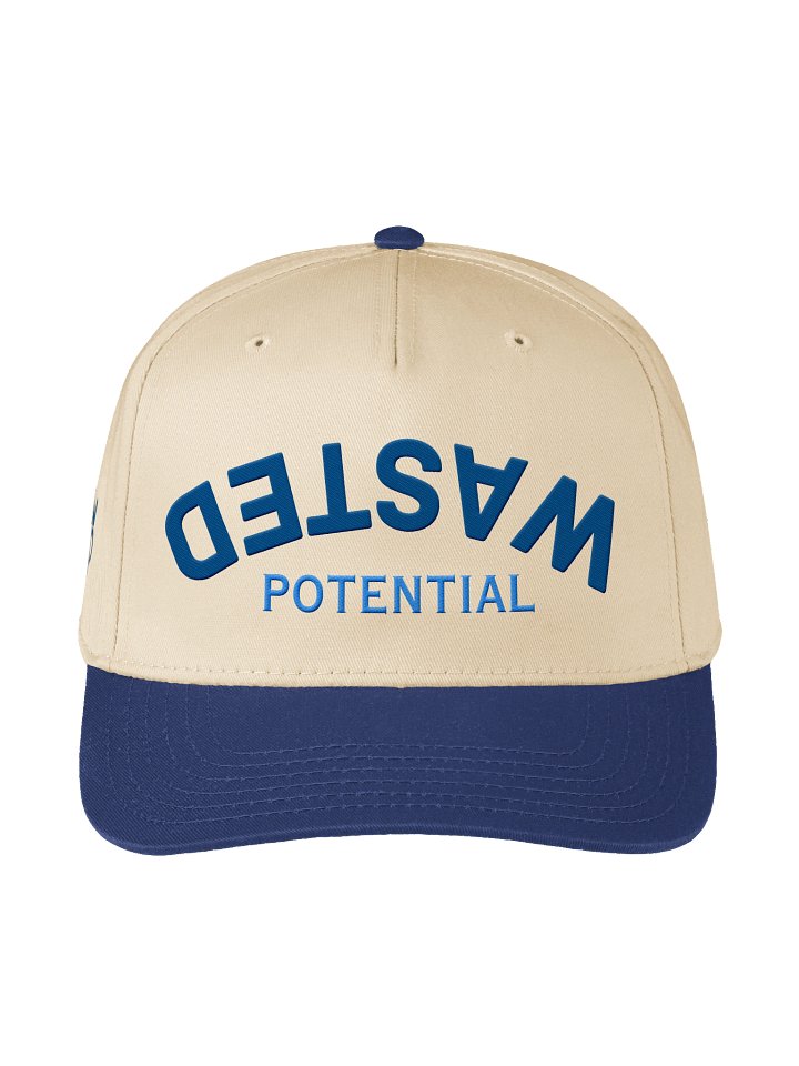 Upside Down Wasted Potential Hat product image (1)