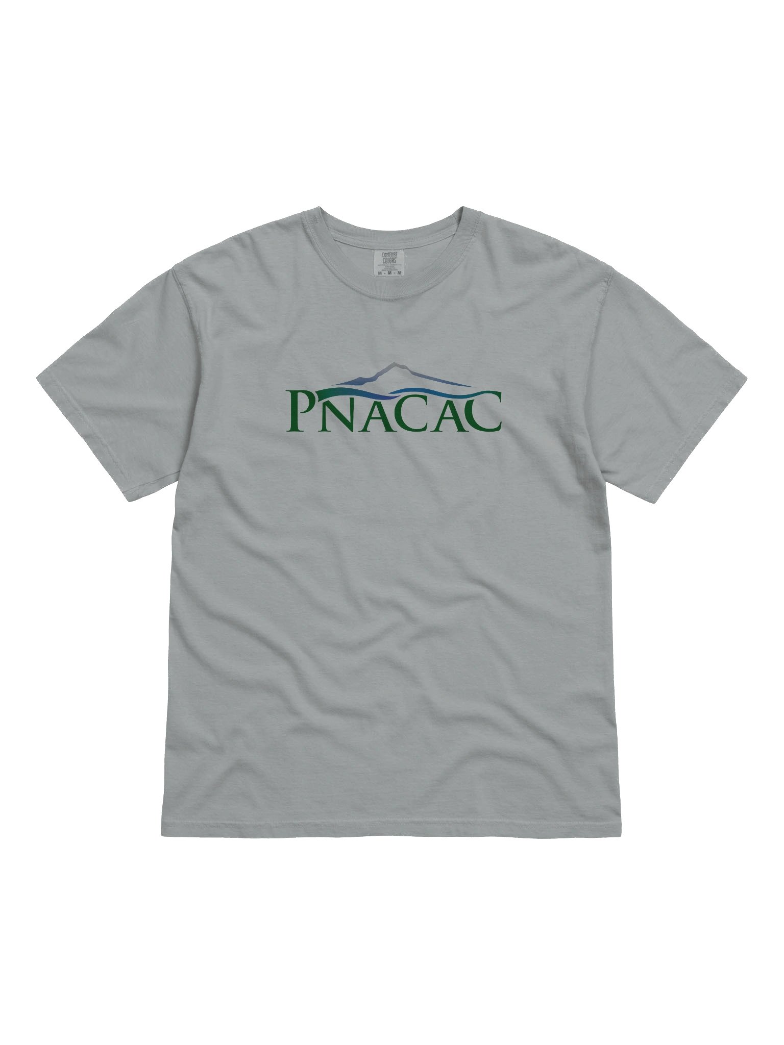 Heavyweight Tee - Color Logo product image (11)