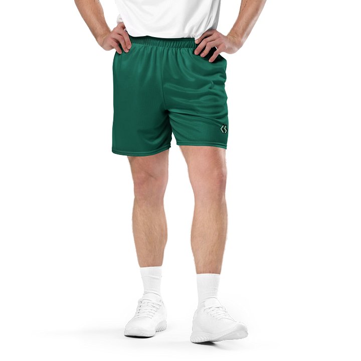 CS Shorts product image (2)