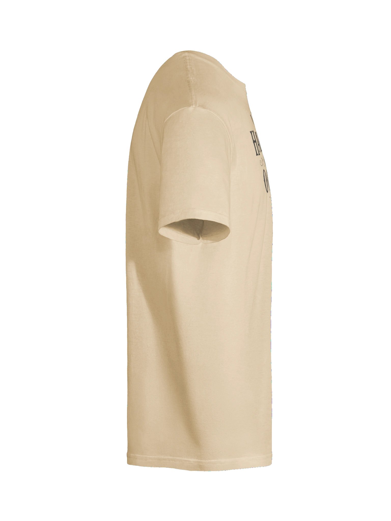 I THOUGHT HALLOWEEN WAS IN OCTOBER, Unisex Cotton Softstyle T-Shirt product image (30)