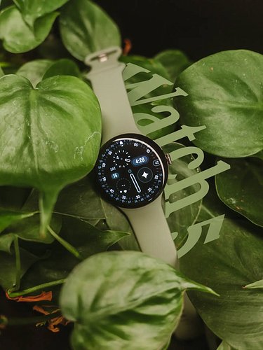 Pixel Watch 5 is here 🫒 

Same clean look as last year, but the real upgrades are all inside.

· Blood Pressure Trends for mo...