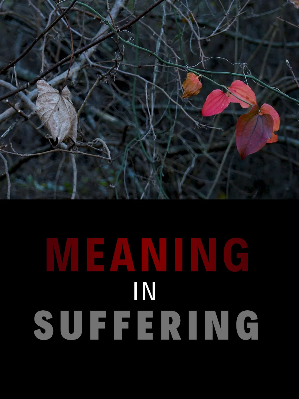 Meaning in Human Suffering product image (1)