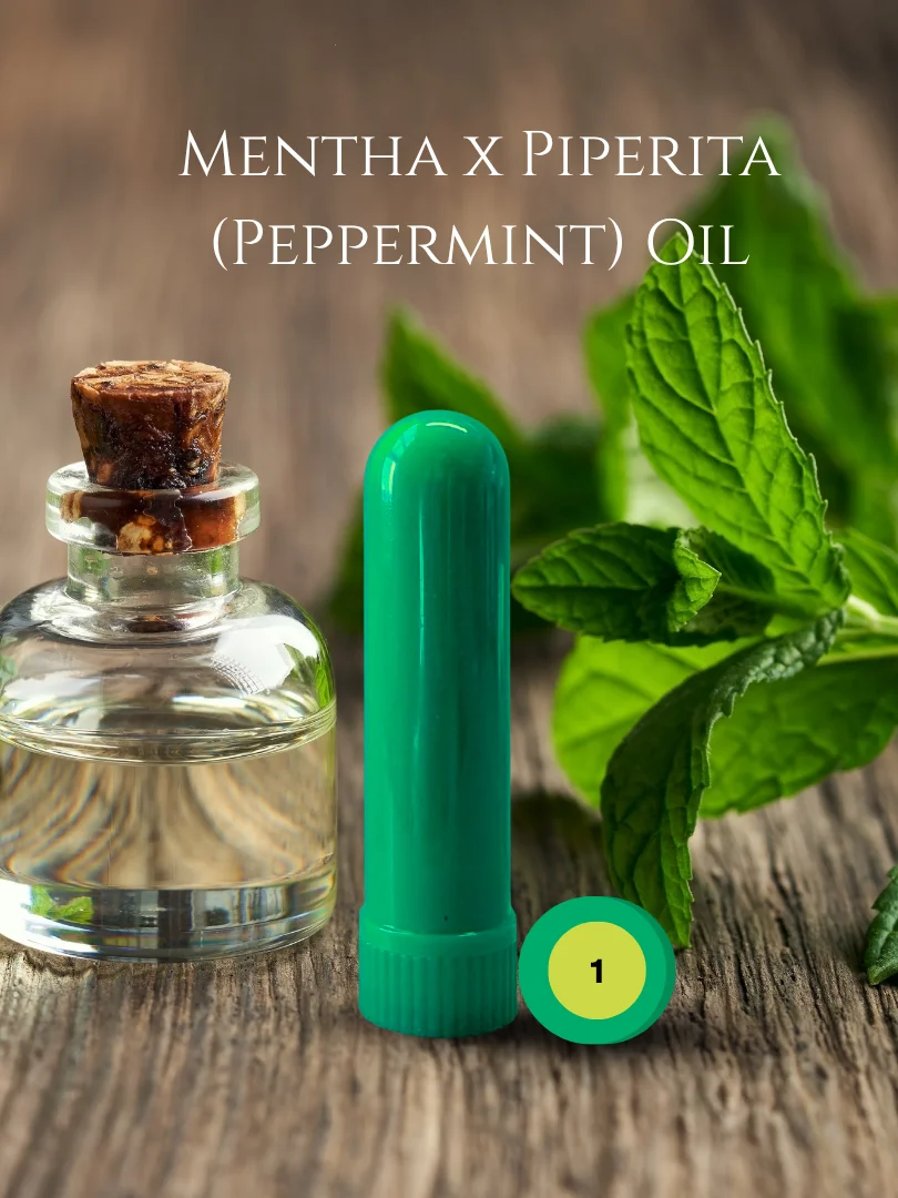 Olfaria Mint Odor Training Kit | 5 Single-Note Essential Oils | Scent Education | Train Your Nose product image (2)