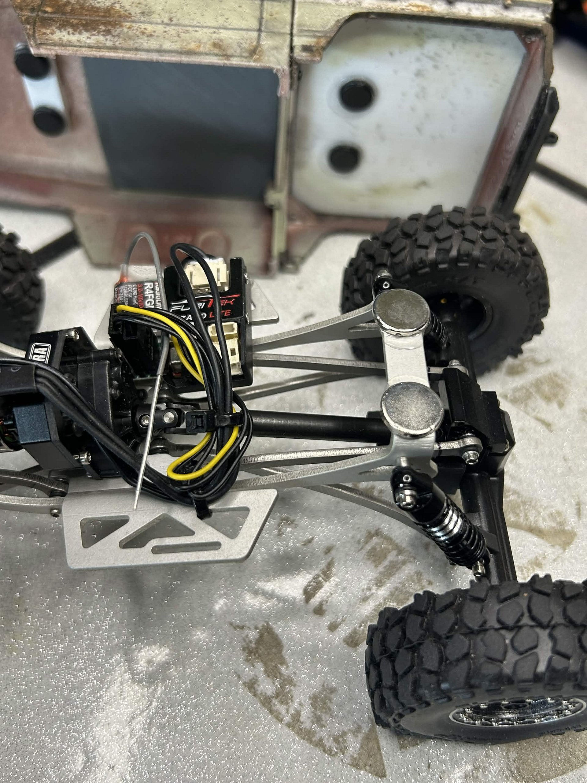 Bandito Robskii product image (5)