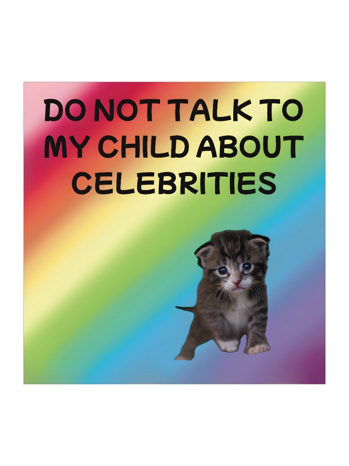 Do Not Talk to My Child About Celebrities Cat Sticker product image (1)