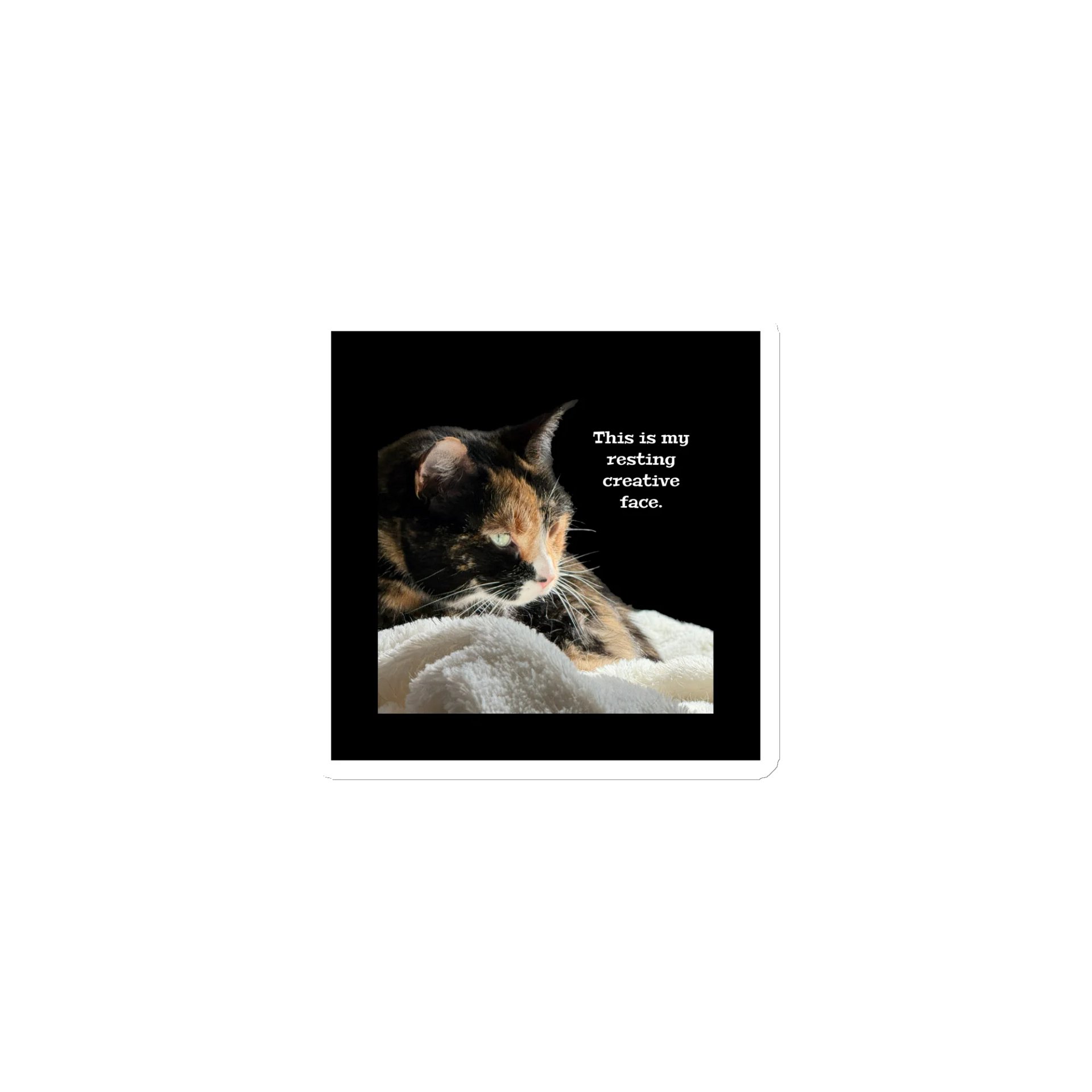 This is my resting creative face. Magnet product image (1)