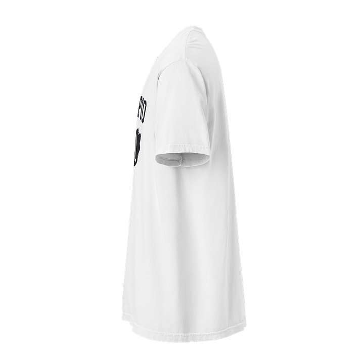 Scorpio Zodiac T-Shirt — Spiritual Soul Psyche Collection product image (38)