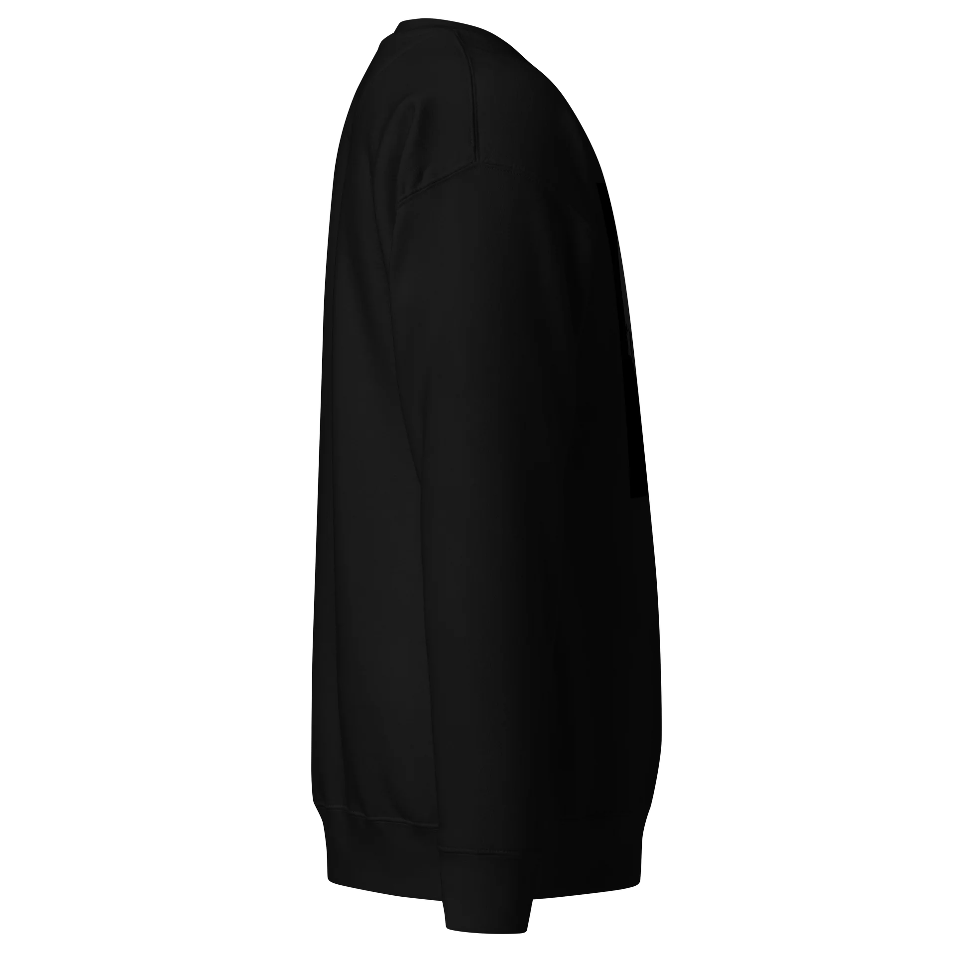 Floris Haugier – Sweat-shirt Premium « Sunburst Silhouette » product image (2)