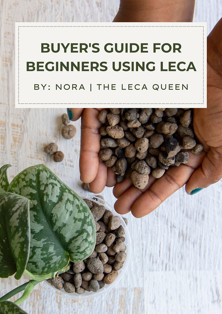 Buyer's Guide for Beginners using LECA product image (1)