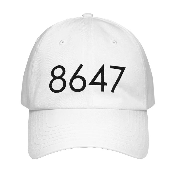 8647 Under Armour hat - B product image (1)