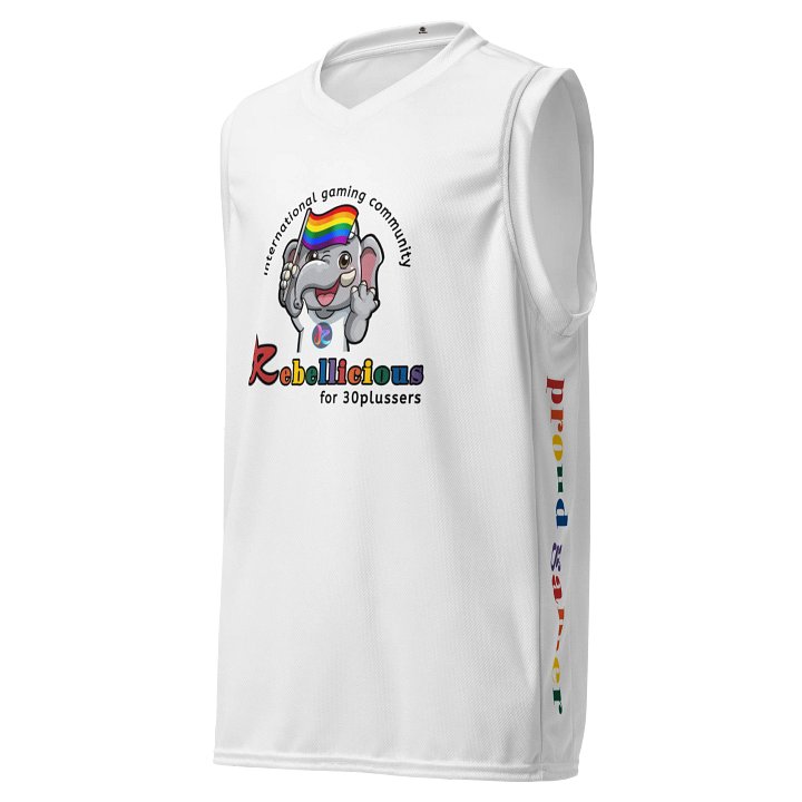 COURT DOMINATOR JERSEY PRIDE product image (1)