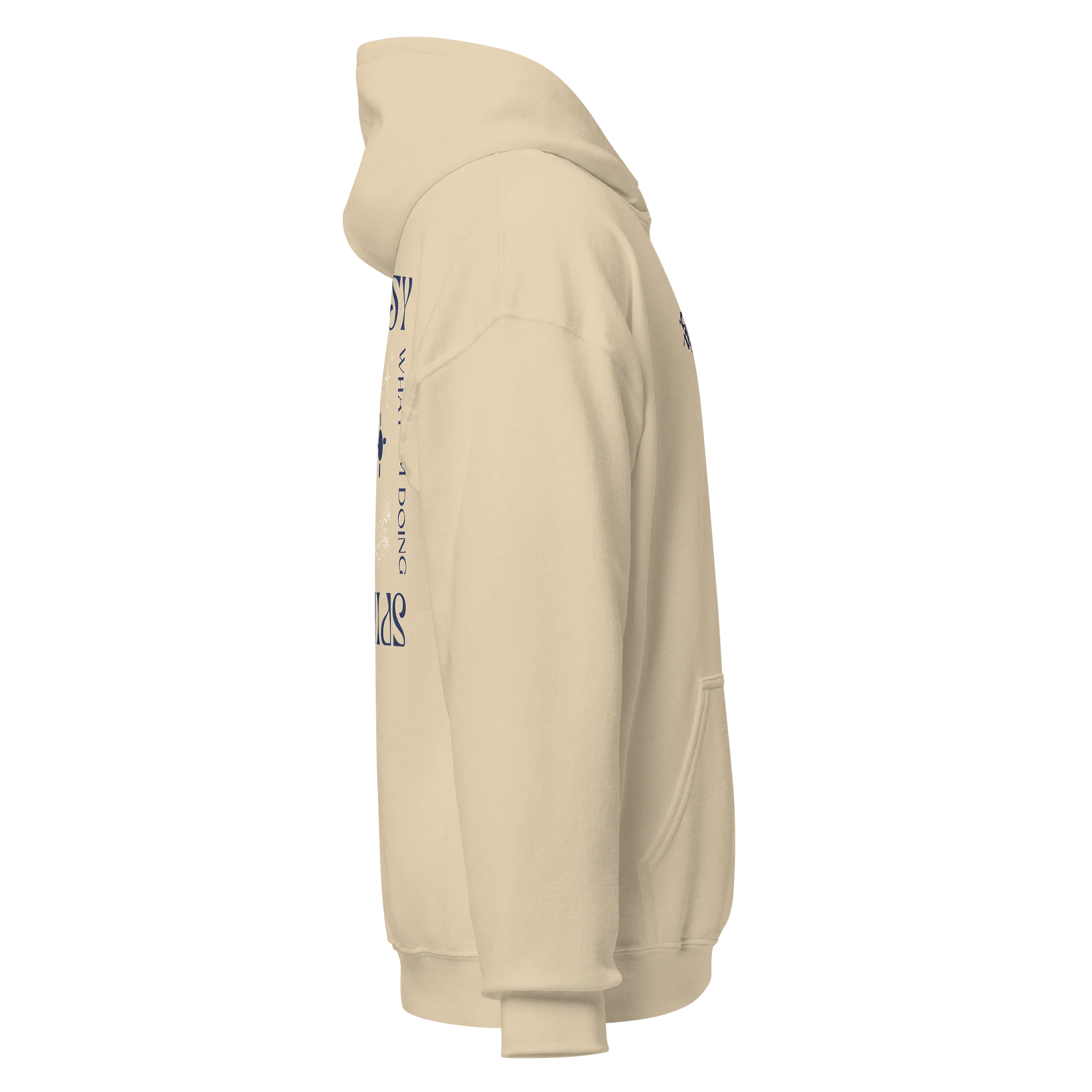 'Bold, Blue, Bobby' Hoodie product image (4)