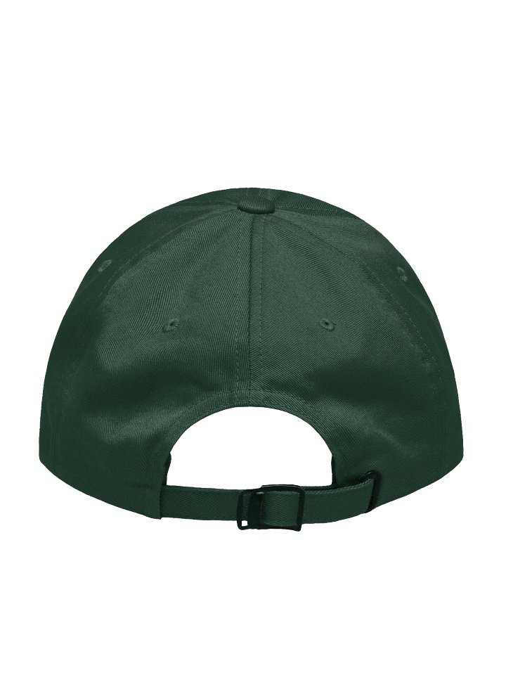 TITS GOLF CROSSROADS Dad Hat Green product image (2)