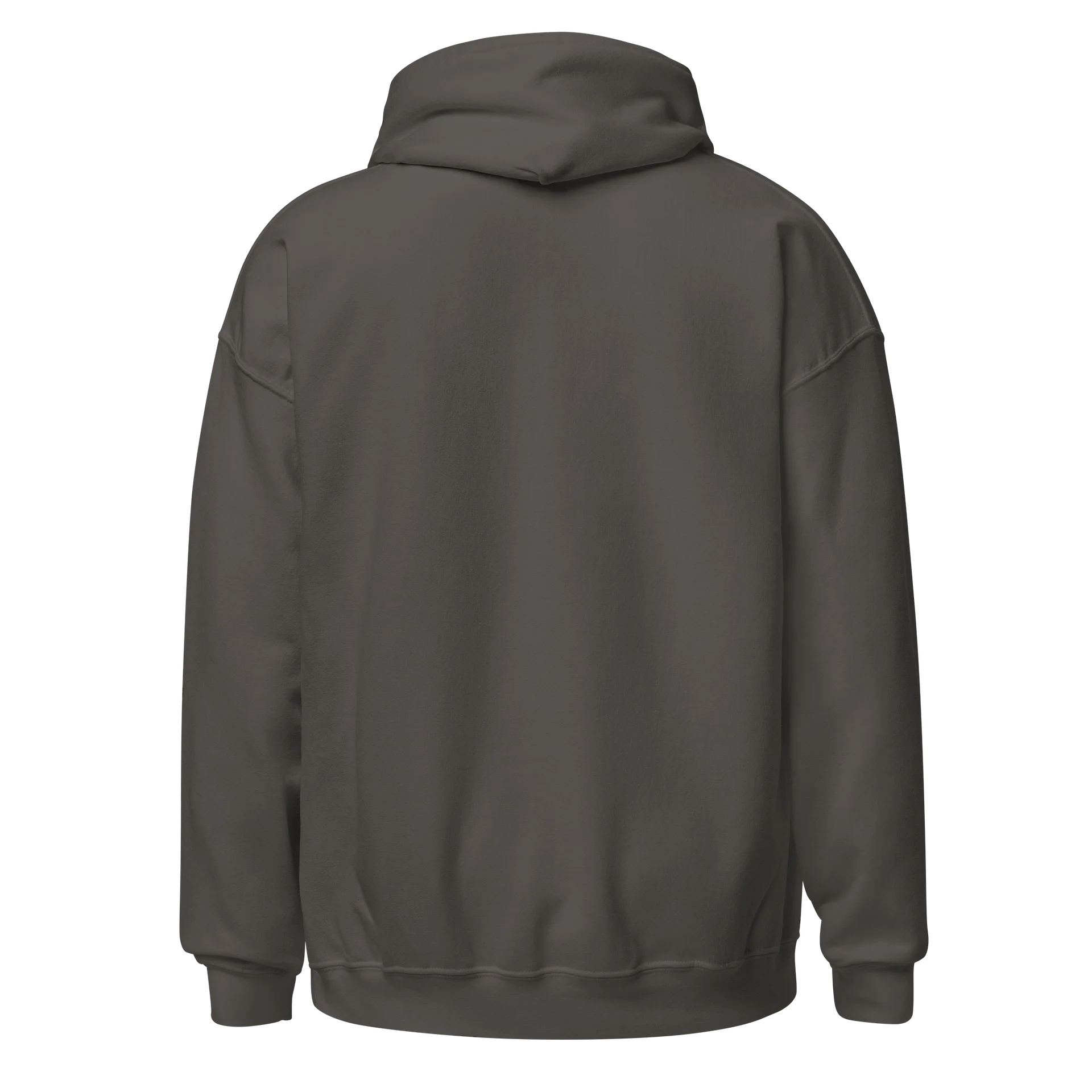 “My Kink Is Authenticity” Charcoal Classic Unisex Hoodie product image (2)