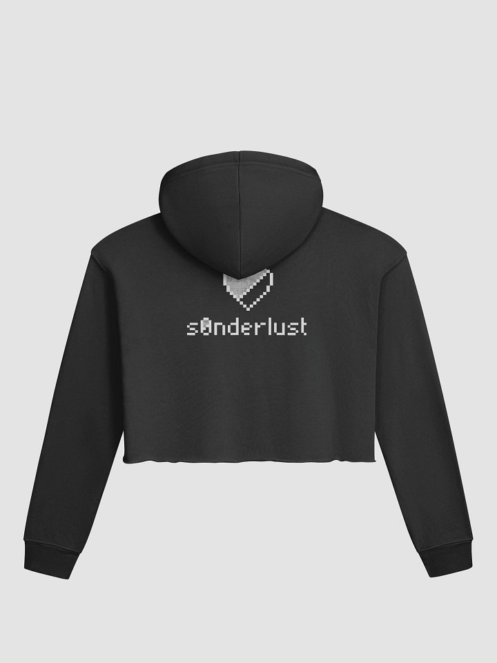 Equinox & Solstice Crop Hoodie product image (4)