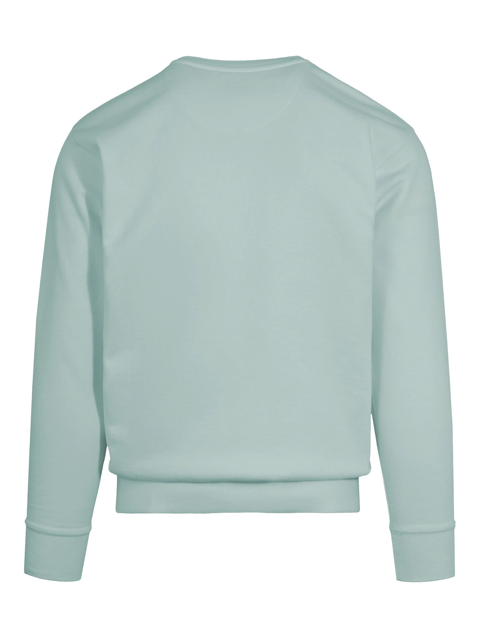 Agave Cotton Sweater product image (11)