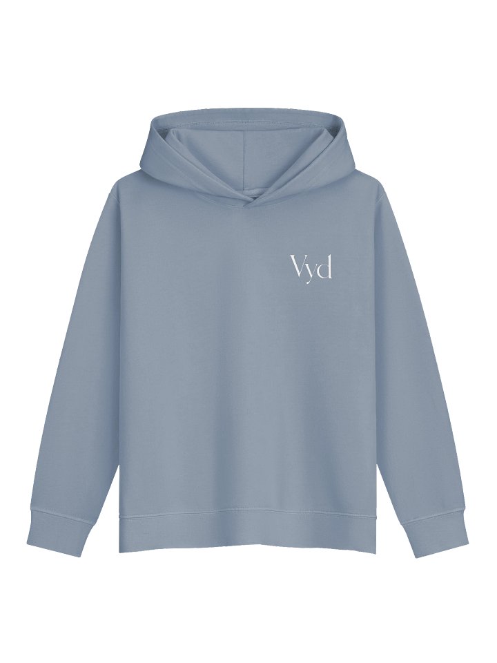 Vyd Youth Hoodie product image (3)