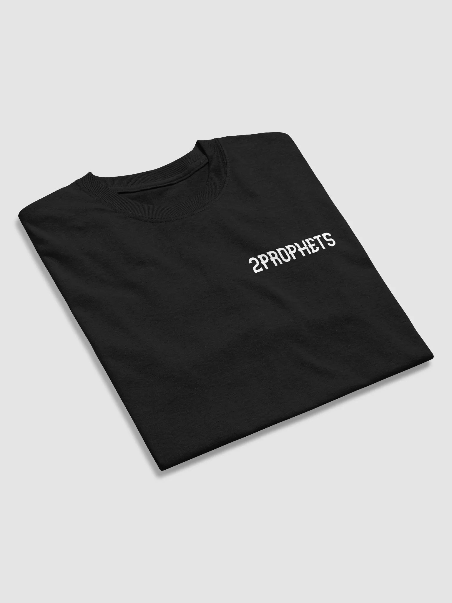 2PROPHETS Heavyweight Tee (PROMO2) product image (3)
