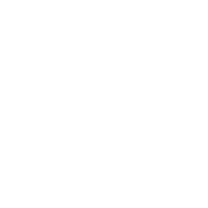 Burned CD