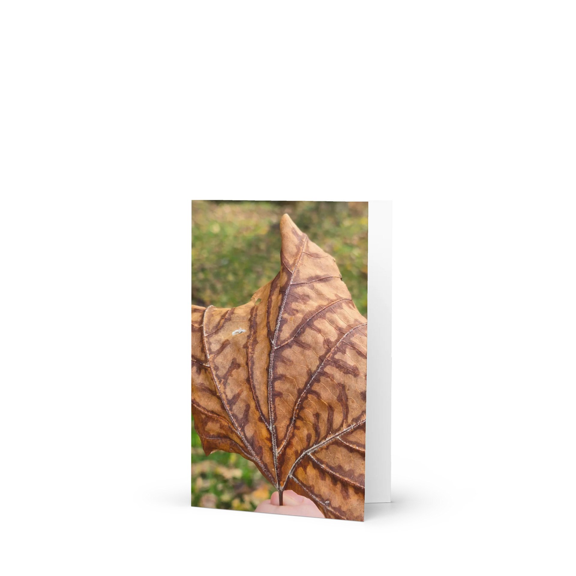 Autumn Veins Greeting Card (blank) product image (1)