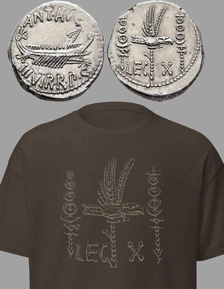 Legion X Legionary Standards Insignia Ancient Rome Art circa 31 BC, T-Shirt product image (9)