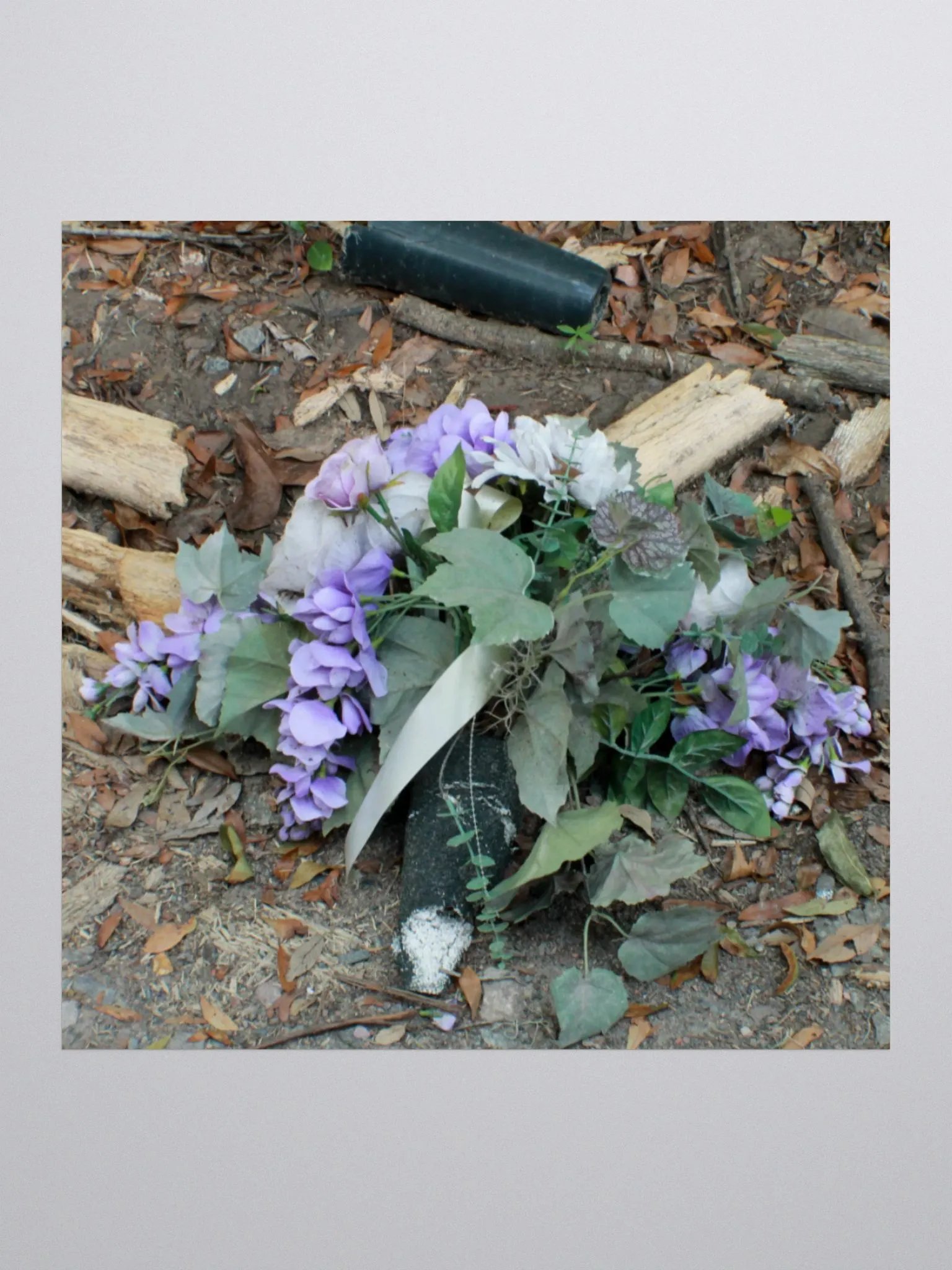 The Cockroach Named Hope product image (3)