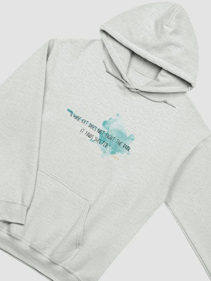 Vaikauri Cat Wisdom Hoodie product image (2)