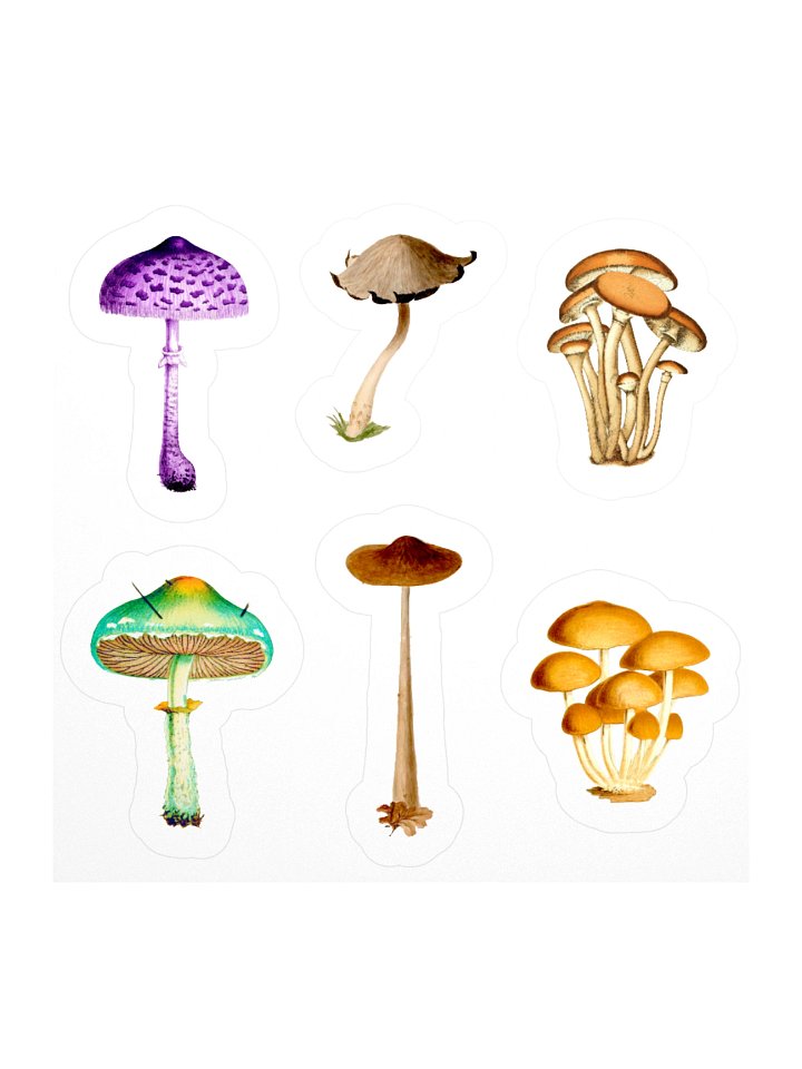 SHROOMS!!! product image (1)