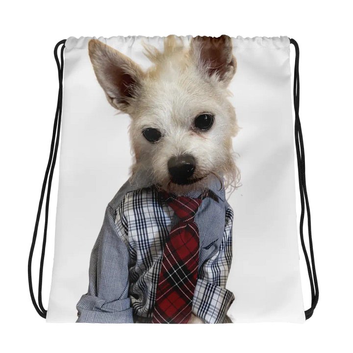 Plaid Pup Drawstring Bag product image (1)
