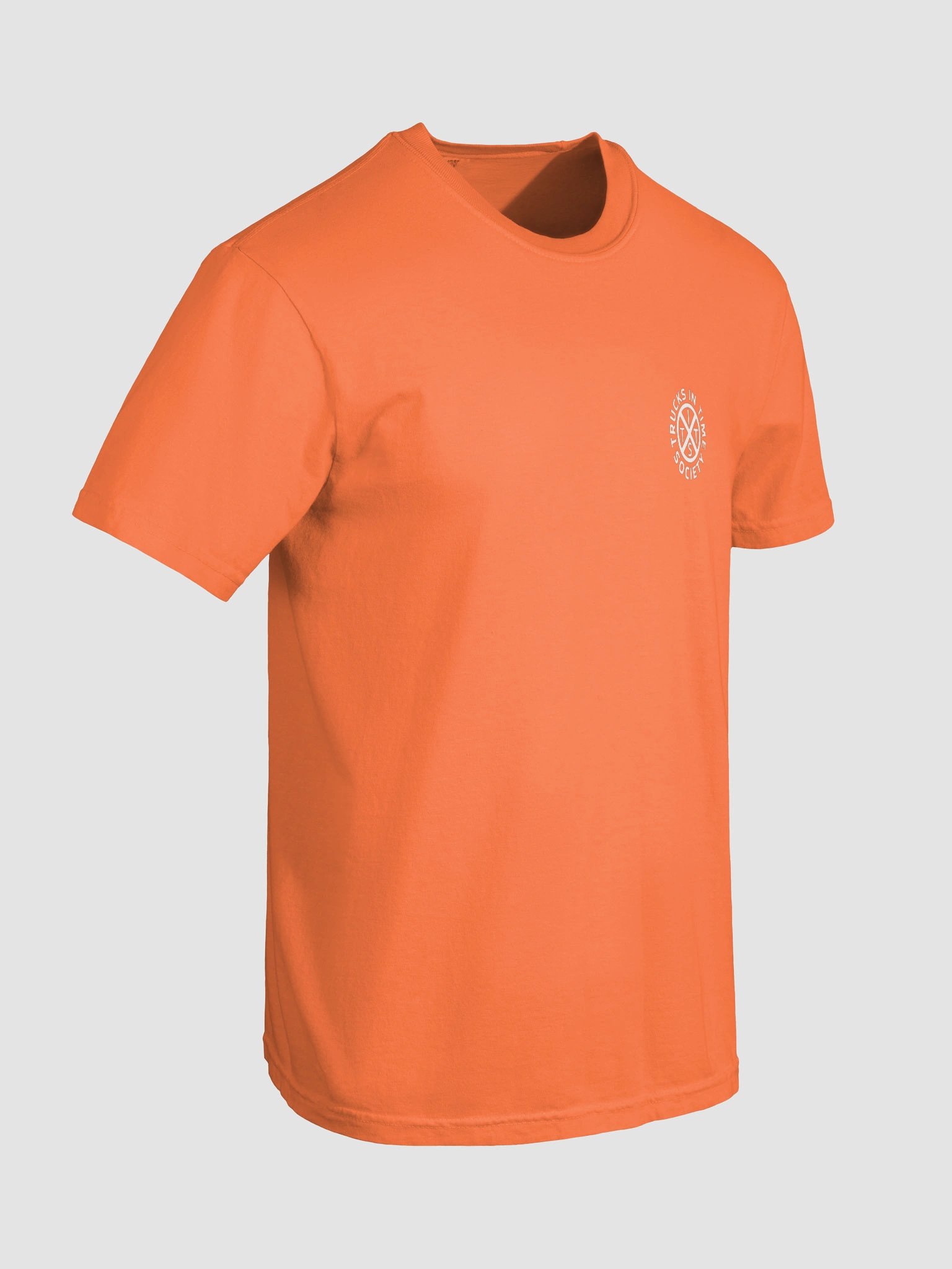 REAL FRIENDS SHOW YOU THEIR BOOBS Salty Shirt product image (51)