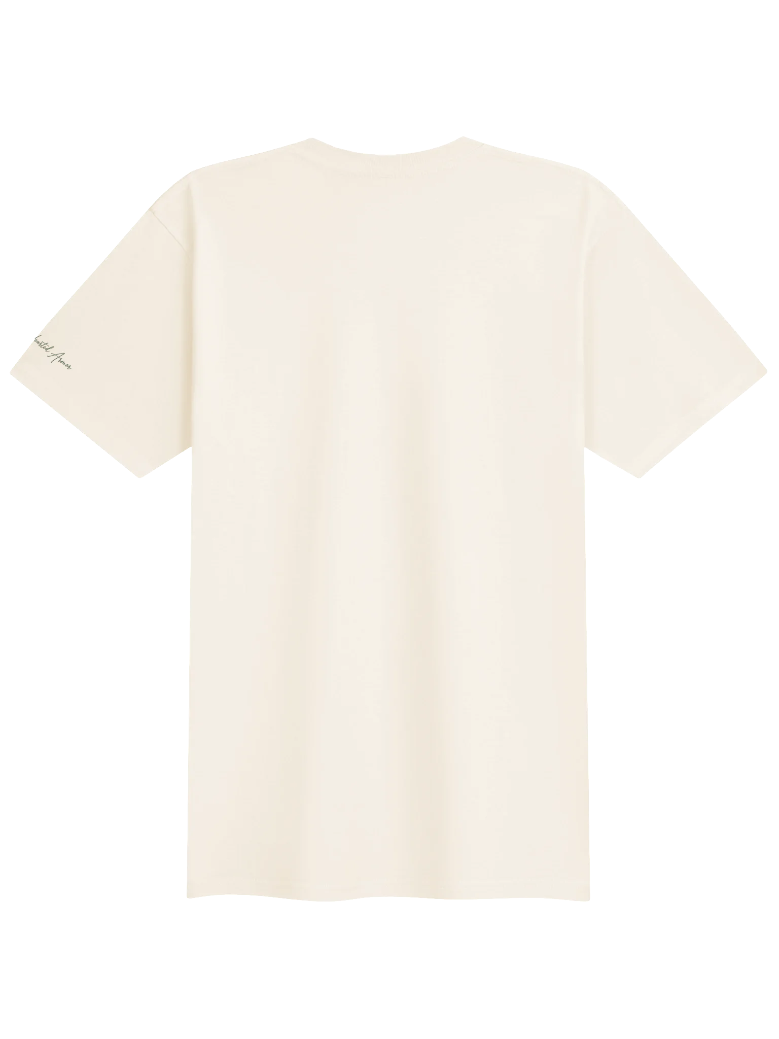 Jesus Is My Trail Guide (B) Premium Men's Tee product image (30)
