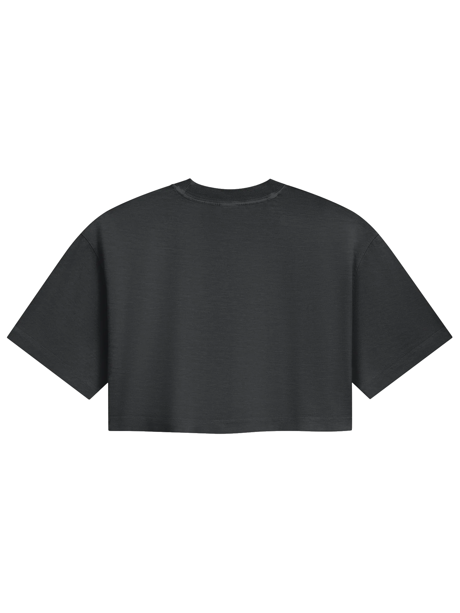 Between Ripples Crop Tee product image (4)