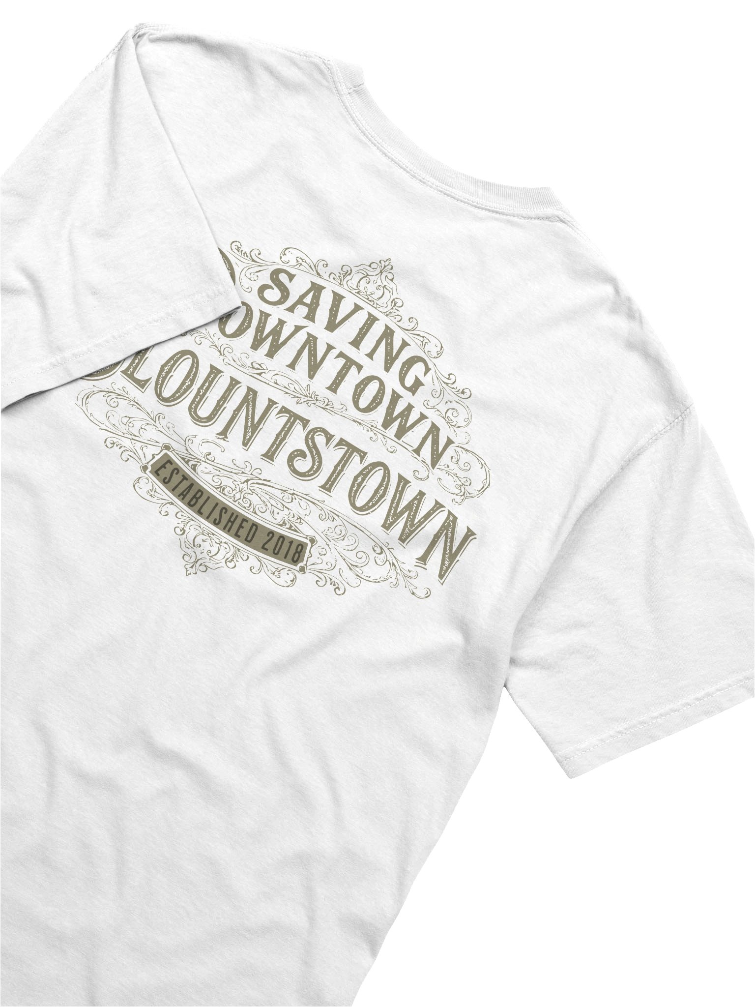 Saving Downtown Blountstown Comfort Colors Tee product image (16)