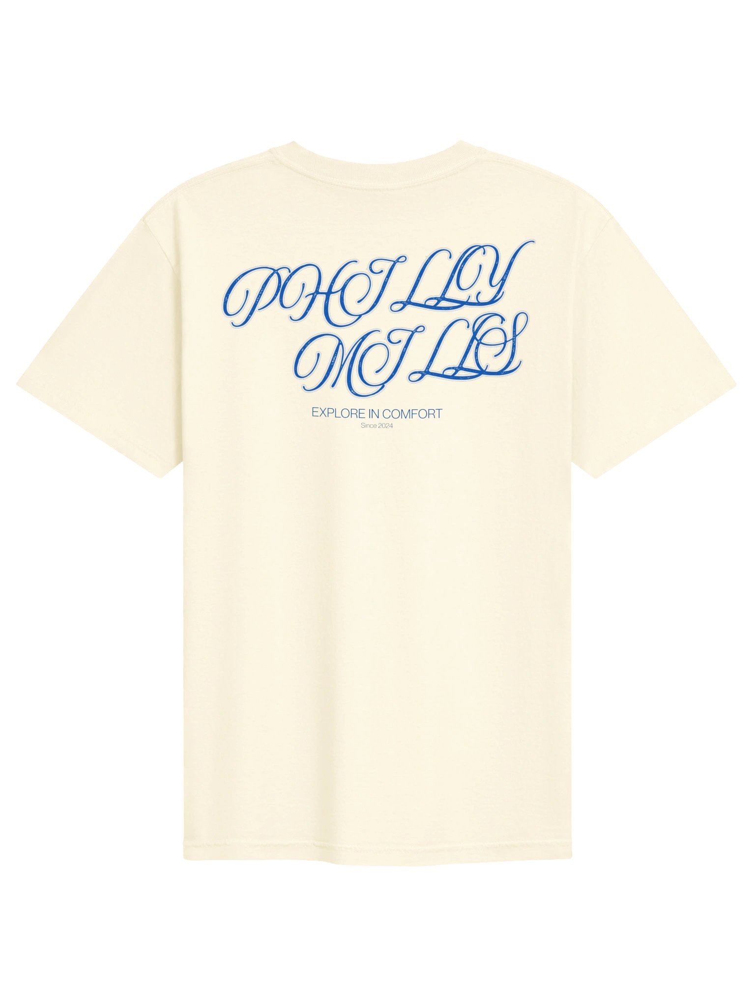 Philly Mills Script Graphic Heavyweight Tee product image (92)